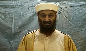 La maldición de Bin Laden