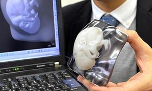 Una empresa japonesa imprime fetos en 3D