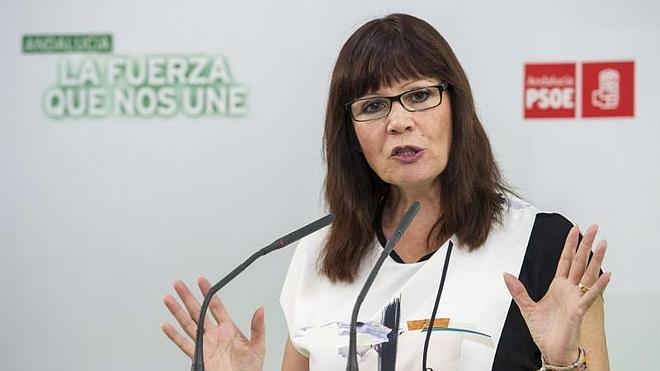 Micaela Navarro, partidaria de retrasar las primarias del PSOE