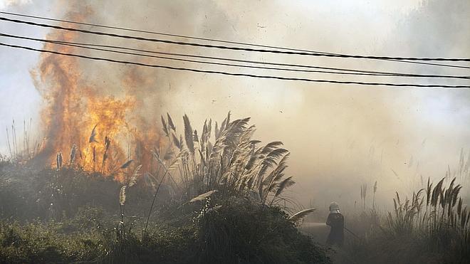 El fuego calcina 42.327 hectáreas en lo que va de año