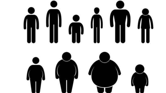 La clave de la obesidad está en el sedentarismo