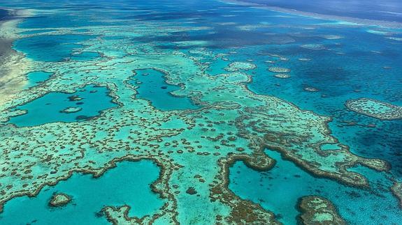 Un leve aumento del mar tendrá un gran impacto en la Gran Barrera de Coral