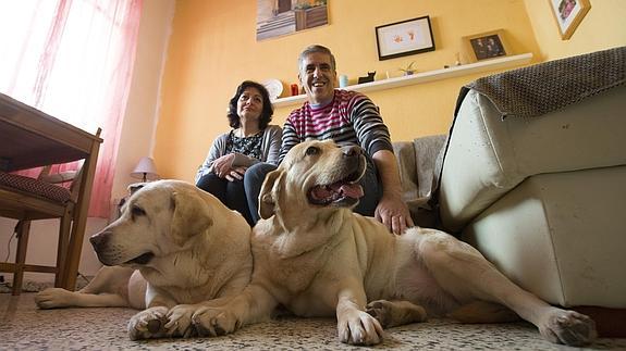 Condenan a 21 meses de cárcel a una pareja por los ladridos de sus dos perras