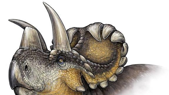 El cornudo de Wendiceratops