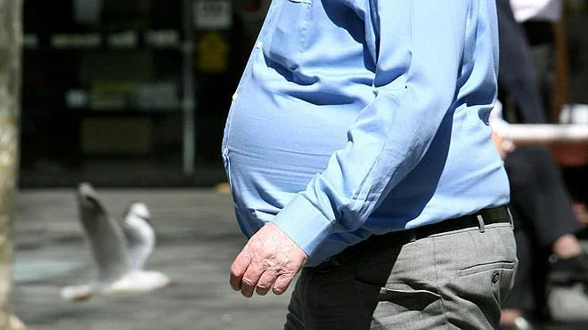 La micobioma podría servir para el tratamiento de la obesidad