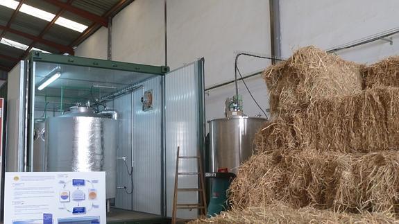 Ponen en marcha la primera planta que genera energía limpia a partir de la paja del arroz