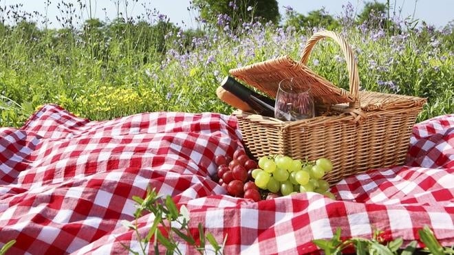 Parques para hacer un picnic