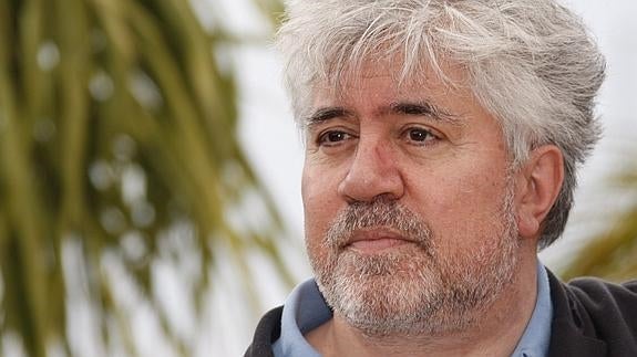 Pedro Almodóvar asume su responsabilidad sobre los 'papeles de Panamá'