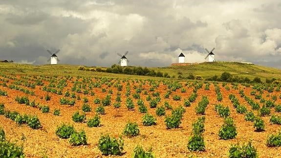 La gastronomía en El Quijote