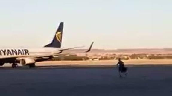 Persigue a un avión en Barajas porque creía que perdía su vuelo