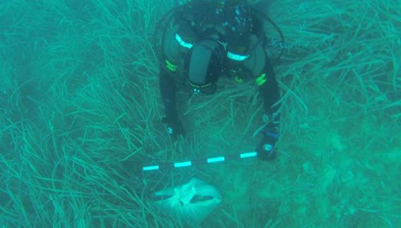 Hallan una nueva sábana con restos humanos y objetos en aguas de Calpe