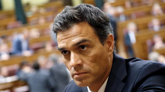 Fechas claves de la trayectoria de Pedro Sánchez como secretario general