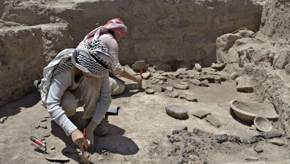 La agricultura 'moderna' surgió en el año 8.500 a. C.