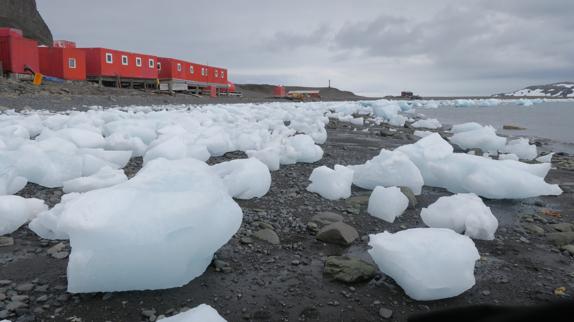La Antártida, una gigante alerta blanca frente al cambio climático