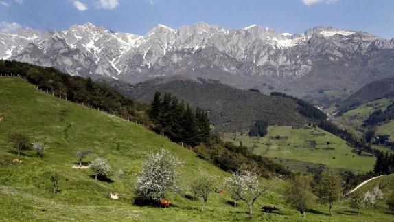 Localizan sin vida en Picos de Europa a los tres montañeros desaparecidos desde el domingo