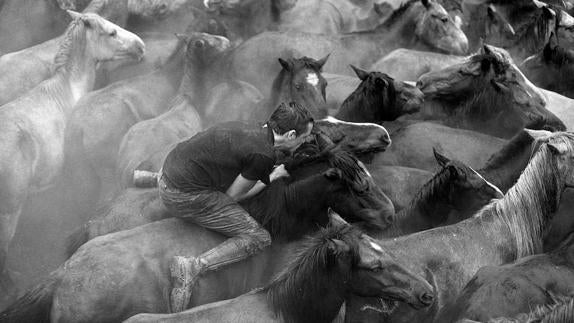 La Rapa das Bestas, fiesta tradicional gallega entre el hombre y el caballo