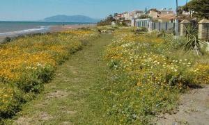 Adjudican la redacción del proyecto del paseo marítimo de Torre de Benagalbón