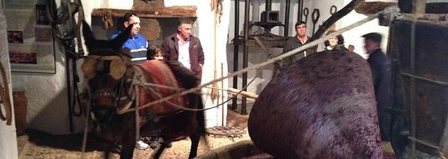 Riogordo transmite la cultura del aceite de oliva verdial con la Fiesta de la Molienda