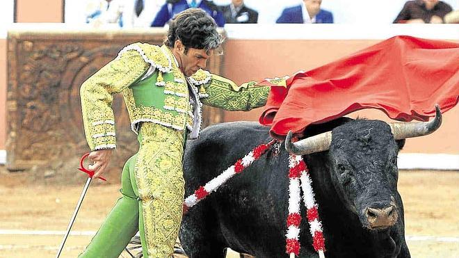 José Tomás baraja su vuelta a La Malagueta