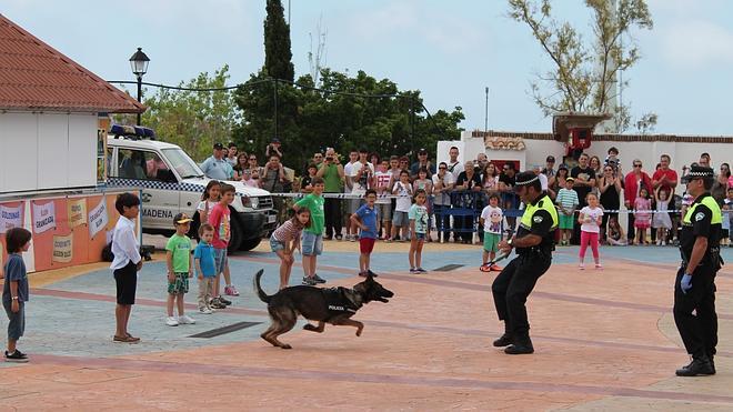 Pequeña academia de policía