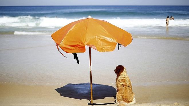 Cosas que no sabías que están prohibidas en la playa