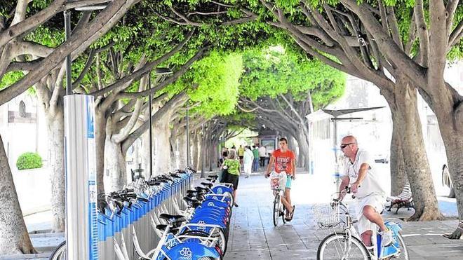 Málaga, a la buena sombra