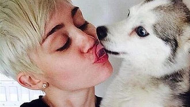 Miley Cyrus intenta contactar con su perro Floyd a través de una médium