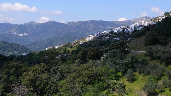 Un estudio científico reivindica la declaración de Sierra Bermeja como Parque Nacional