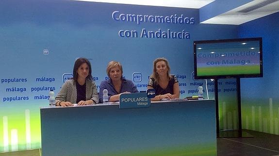 Villalobos: "Son los presupuestos que necesita Málaga"