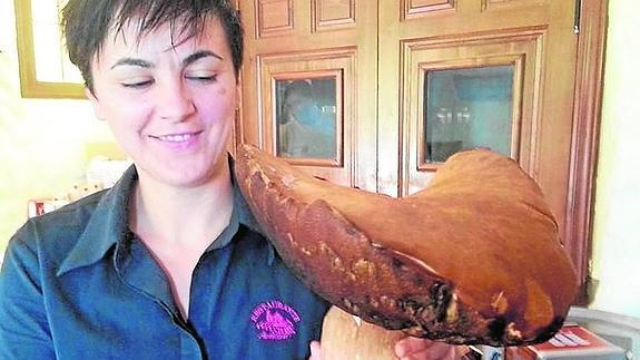 Hallan una seta en el Valle del Genal de 2,3 kilos