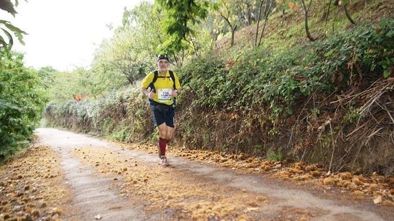 Medio millar de atletas participan mañana en el Ultra Trail del Genal