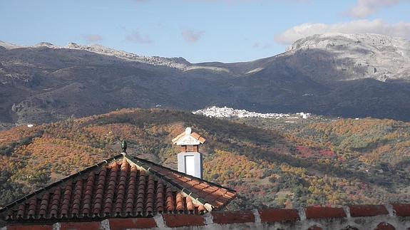 Otoño de cobre en las sierras de Málaga