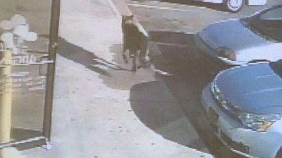 Un perro muere tiroteado en Atlanta protegiendo con su cuerpo a su dueña y su hijo