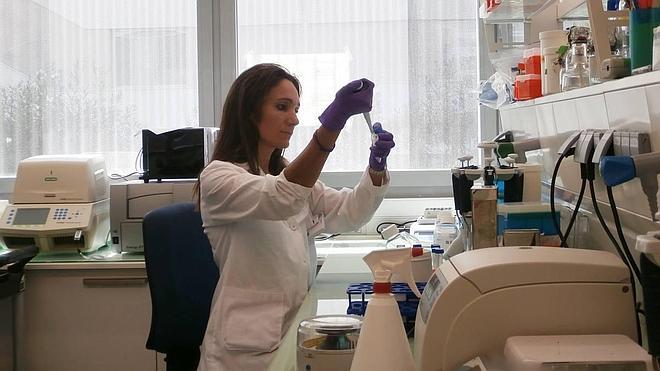 Científicos descubren las posibilidades de un gen para generar tejidos