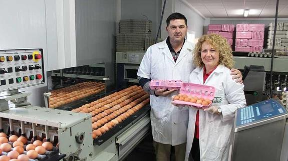 Un millón de huevos