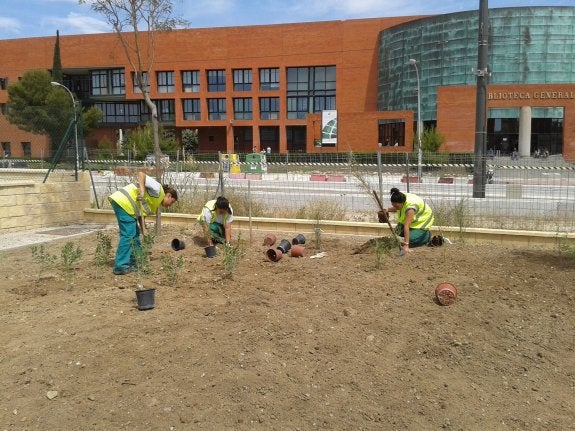 Biouma, una escuela taller que piensa en verde