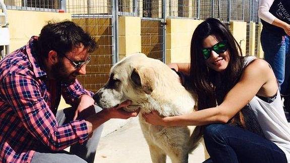 Dani Rovira y Clara Lago, dos voluntarios más en la Protectora de Málaga