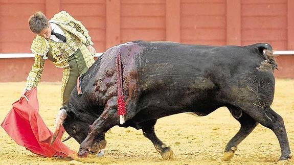 Morante, El Juli, Perera y Talavante, torean hoy en Málaga