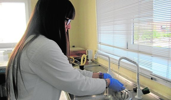 La UMA impulsa los estudios marinos con un nuevo laboratorio puntero