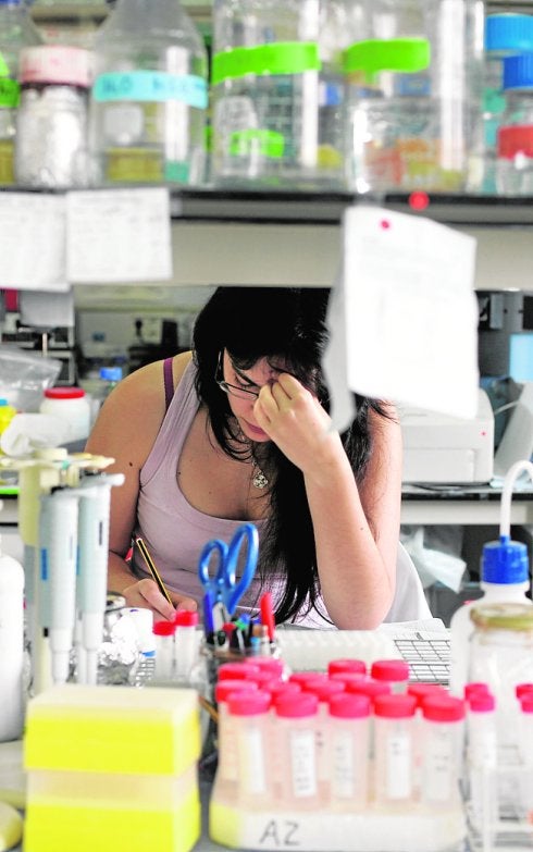 Científicos de la UMA hallan un compuesto que actúa contra el cáncer de hígado