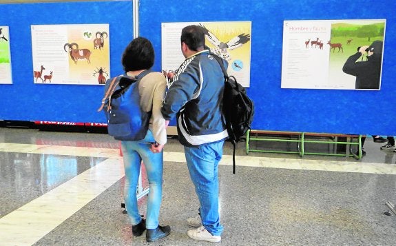 El hombre y la fauna, una relación imperfecta