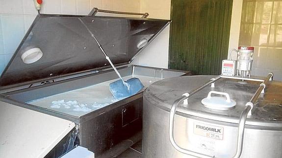 Preocupación en el caprino malagueño ante la bajada del precio de la leche