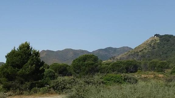 La Costa reverdece tras el gran incendio