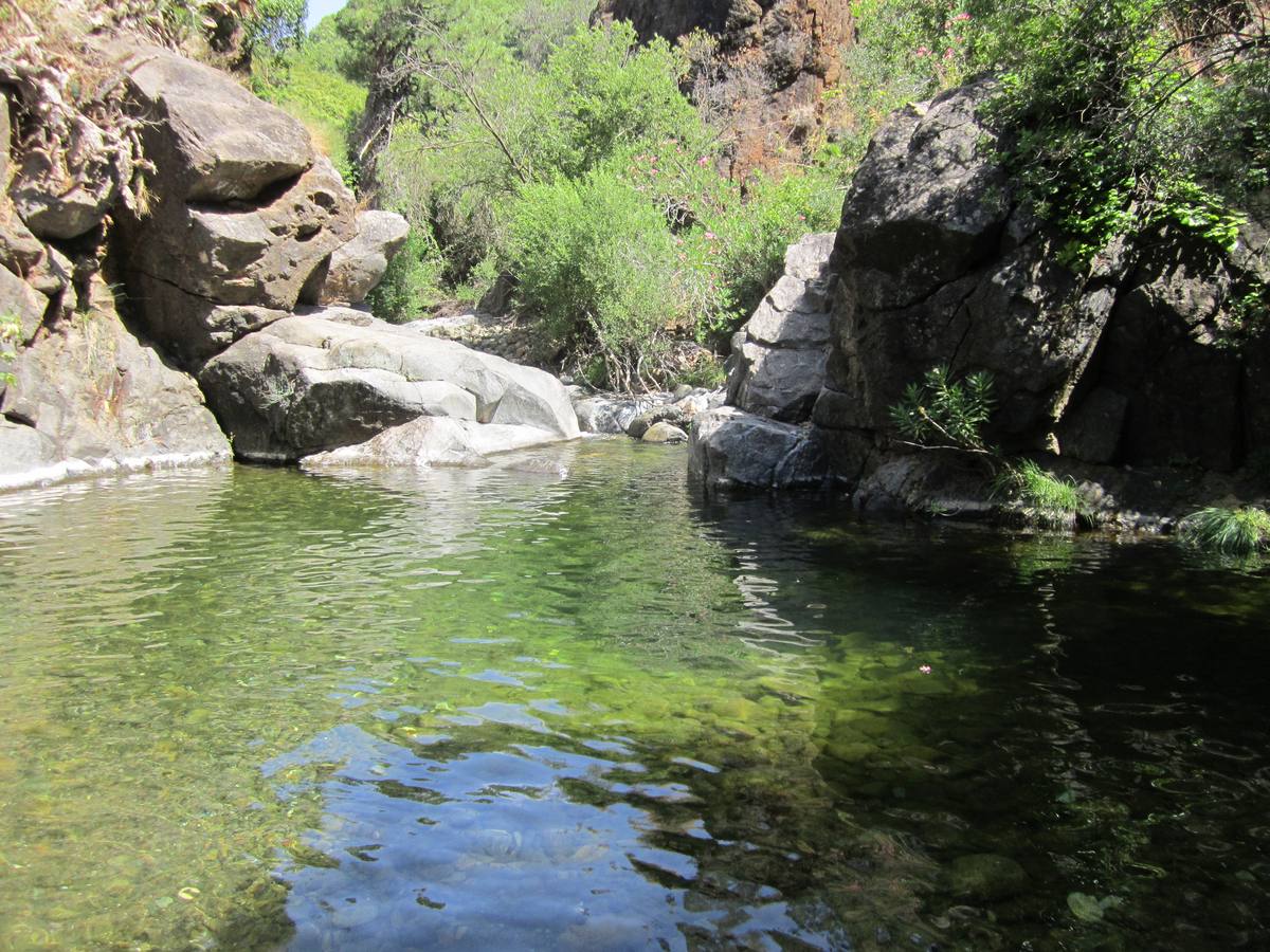 Río Padrón