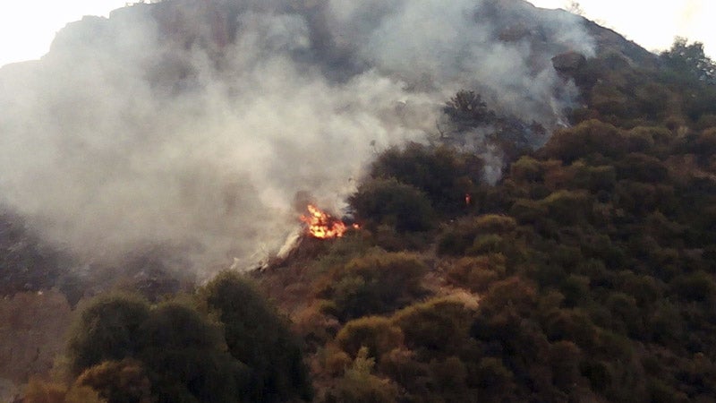 Cerca de 550 desalojados por el incendio forestal de Gualchos en Granada