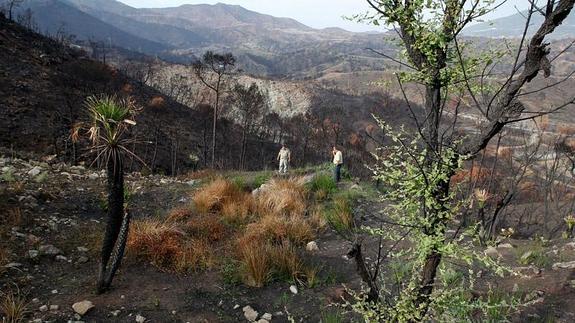 Cientos de millones en indemnizaciones por el gran incendio de la Costa, atascados desde 2012