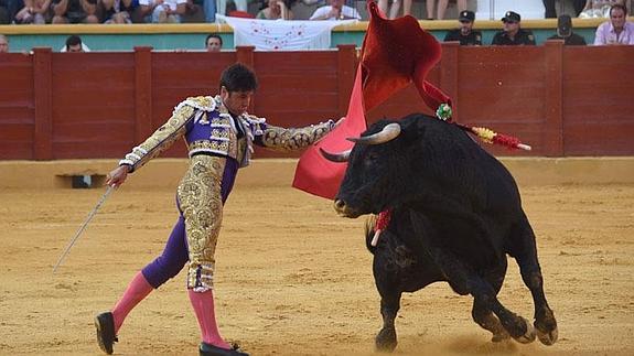 Triunfal regreso de los toros a Estepona