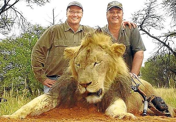 «Hemos descubierto al asesino de ‘Cecil’. Es un dentista estadounidense»