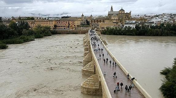 El Guadalquivir, en alerta por peligro de cocodrilo