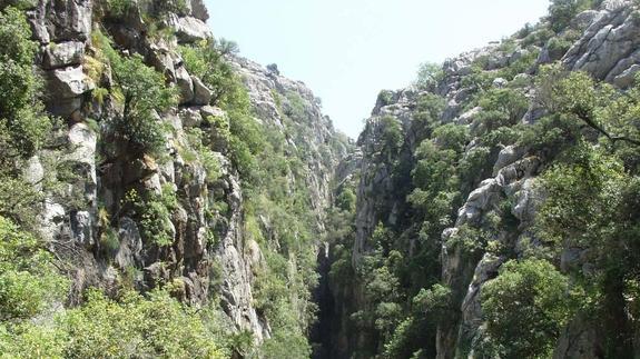 Sendero de El Colmenar-Buitreras del Guadiaro